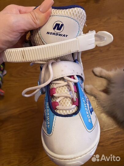 Коньки прогулочные