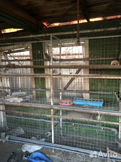 Клетка для птиц бу