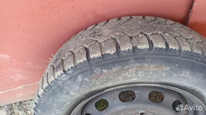 Pirelli Formula Ice 195/65 R15