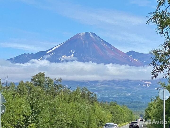 Ваша Камчатка