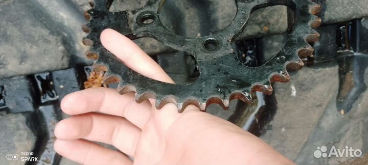 Звëздочка на альфу