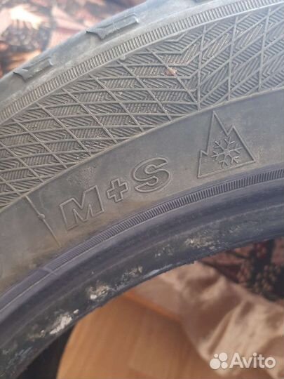 Maxxis SP3 Premitra Ice 205/55 R16 91T