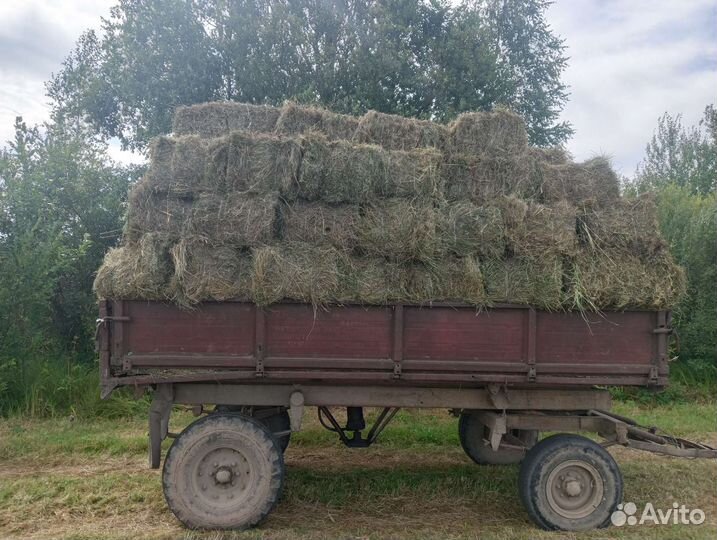 Сено в тюках(кипах),рулонах и мешках