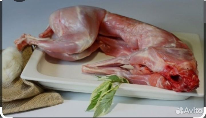 Мясо кролика, крольчатина