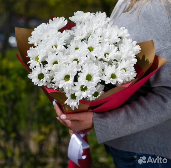 Букет ромашек, доставка