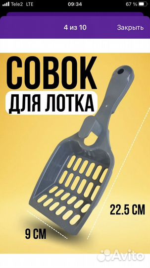 Лоток