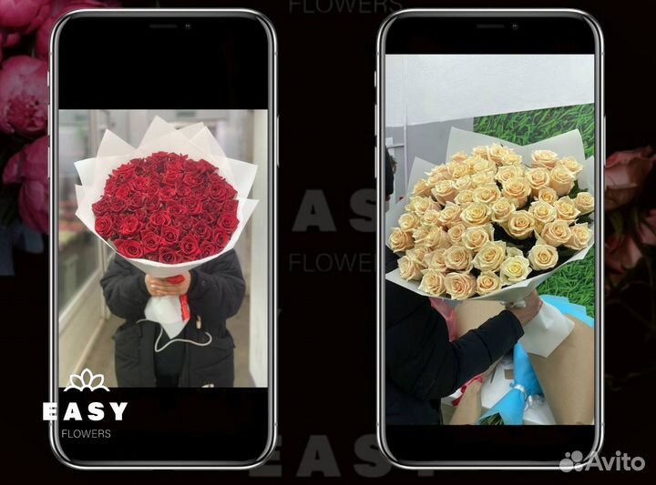 1001 501 301 201 роза