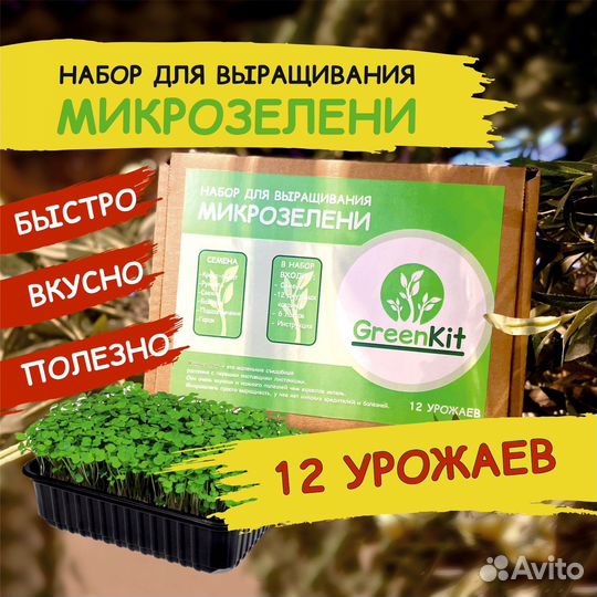 Набор для выращивани микрозелени