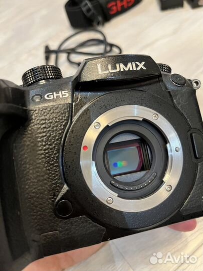 Камера Panasonic Lumix DC-GH5 Body черная