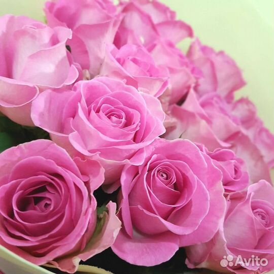 Букет из 15 розовых роз (эквадор)