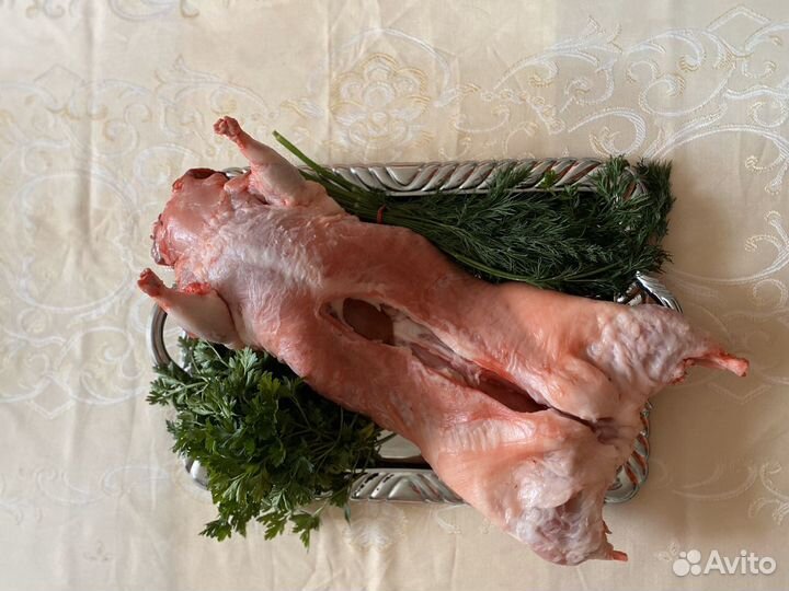 Домашнее мясо нутрии
