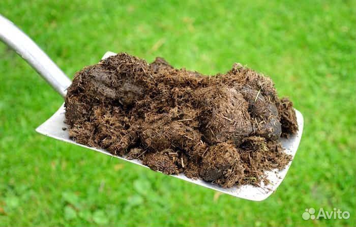 Навоз перегной чернозем