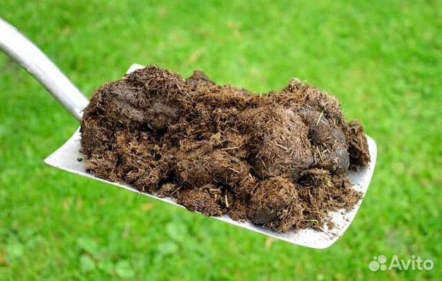Навоз перегной чернозем