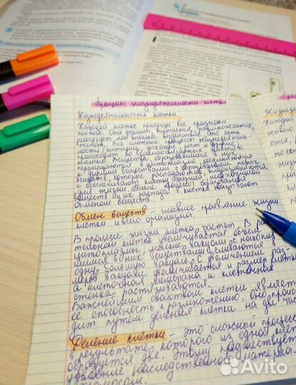 Перепишу лекции, конспекты