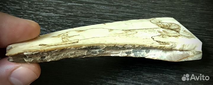 Пано бивень мамонта СССР, ручная роспись