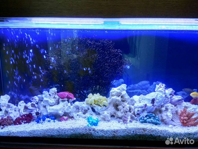 Чистка аквариума