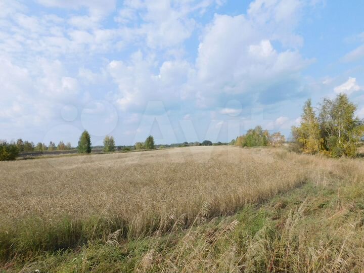 Участок 3,4 га (СНТ, ДНП)