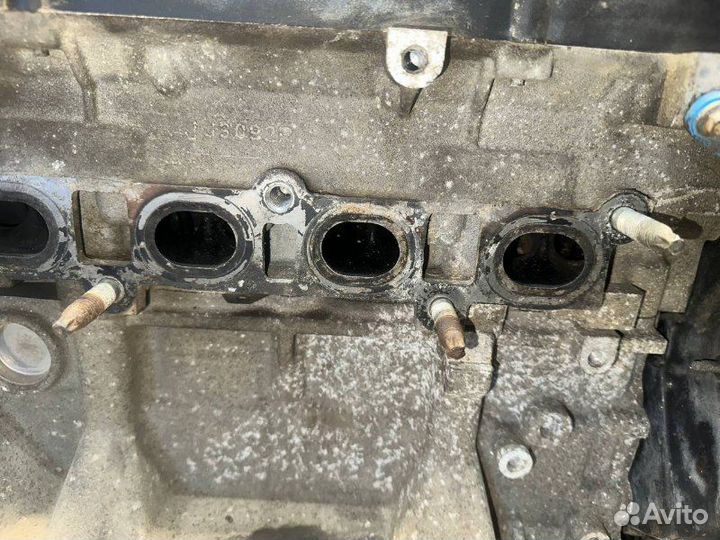 Двигатель Ford Focus 2 hwda