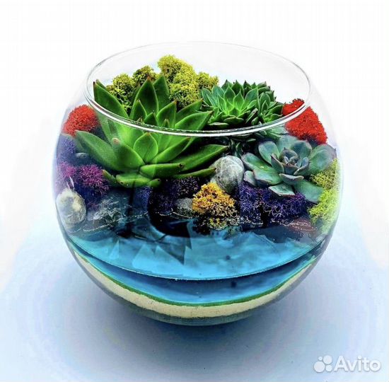 Флорариум светящийся