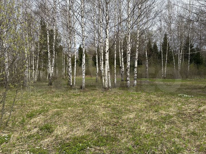 Участок 1,2 га (СНТ, ДНП)