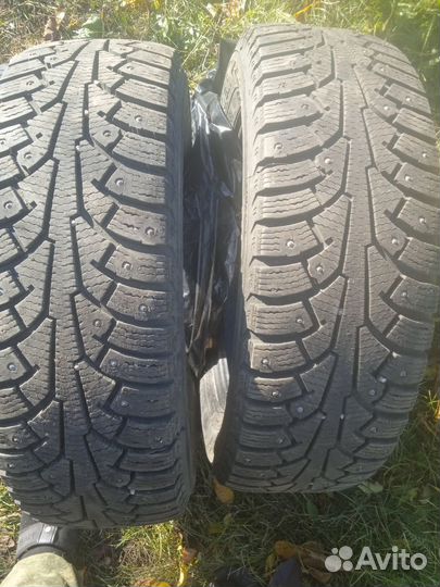 Nordman 5 185/65 R15