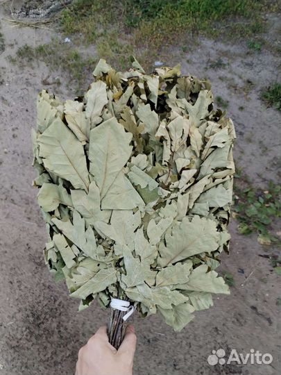Веники для бани