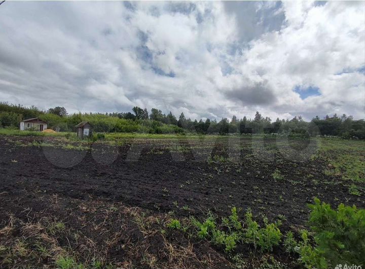 Участок 50 сот. (ИЖС)