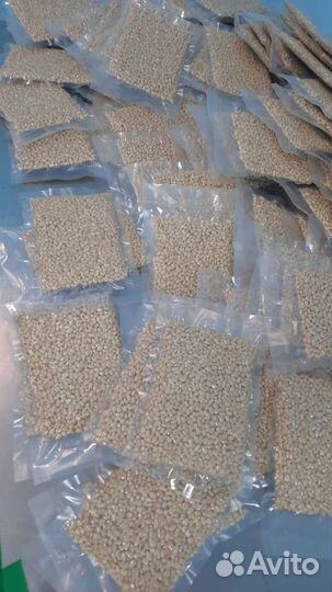 Ядро кедрового ореха