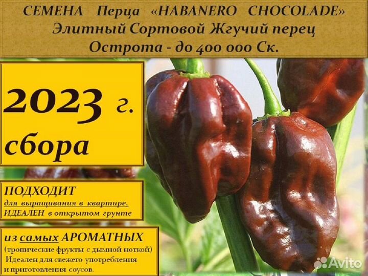 Семена Сортового Острого перца 15 сортов