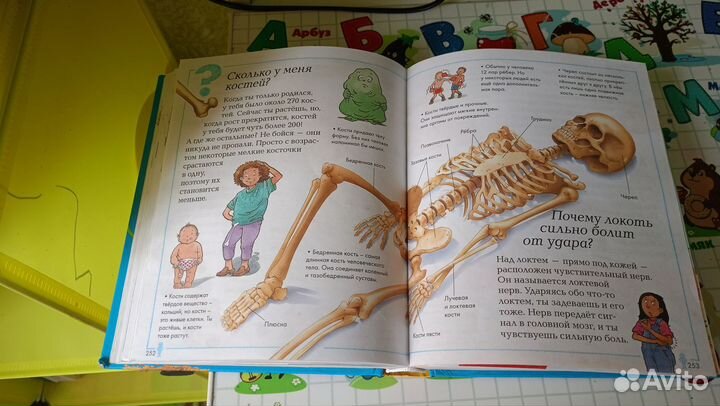 Энциклопедия для детей. Большая книга почему