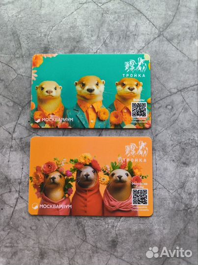 Карта тройка Москвариум животные