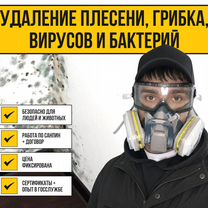 Удаление Плесени Грибка Вирусов С Гарантией, Днепр