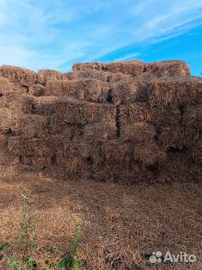 Пшеница и солома