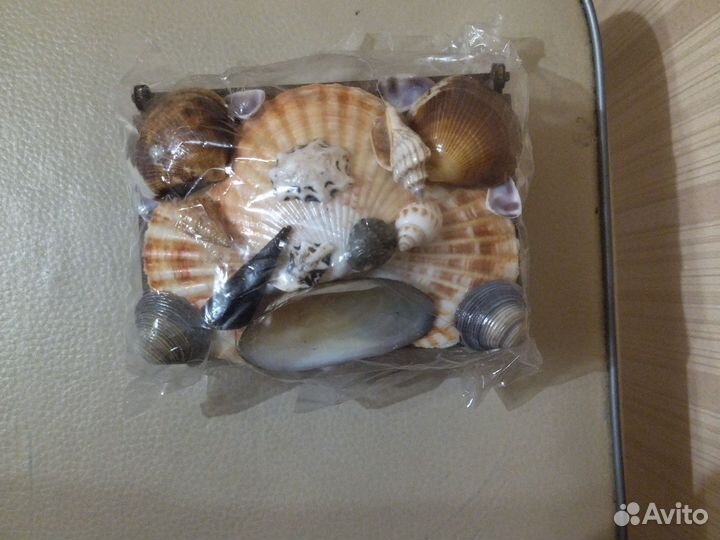 Шкатулка из ракушек