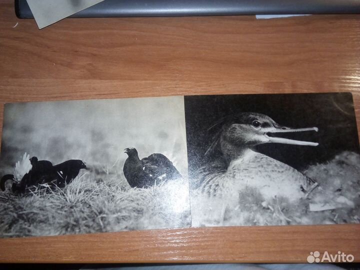 Открытки СССР 1968 год 