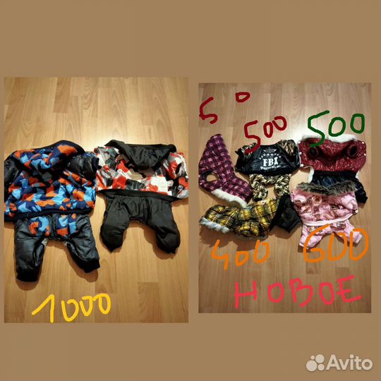 Одежда для собак