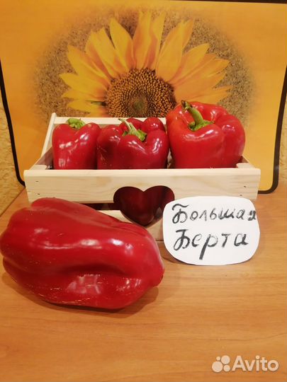 Семена сладких сортовых перцев