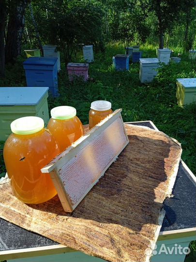 Натуральные продукты с личной пасеки