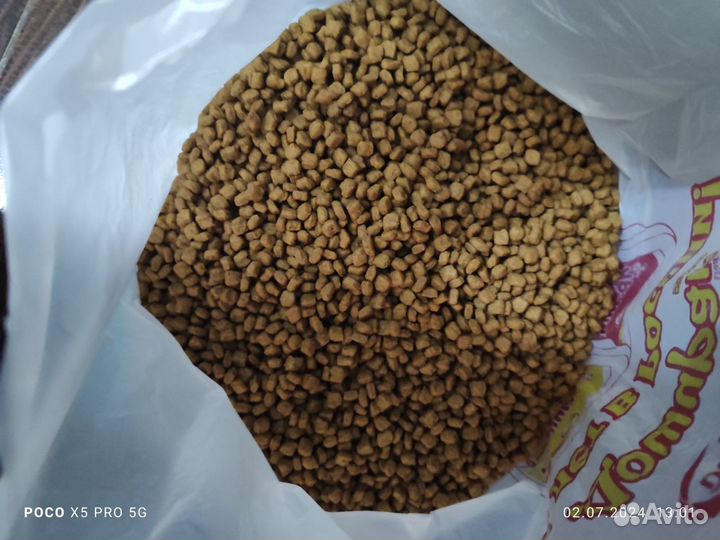 Корм Royal Canin Chihuahua Adult для чихуахуа