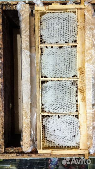 Мёд в сотах. Разнотравье. Алтай. Авитодоставка