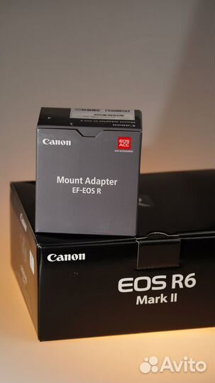 Комплект Canon EOS R6 Mark II body +Canon EF-EOS R