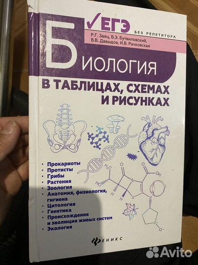 Весь школьный курс, по всем урокам