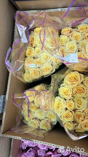 Розы оптом и в розницу