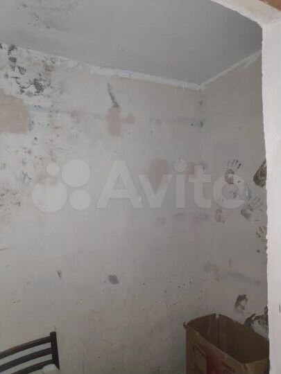 3-к. квартира, 76,3 м², 1/2 эт.
