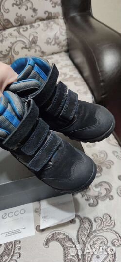 Ботинки Ecco