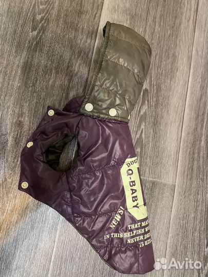 Одежда для собак