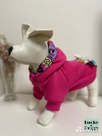 Одежда для собак