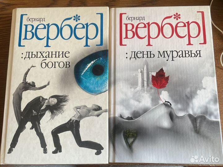 День муравья