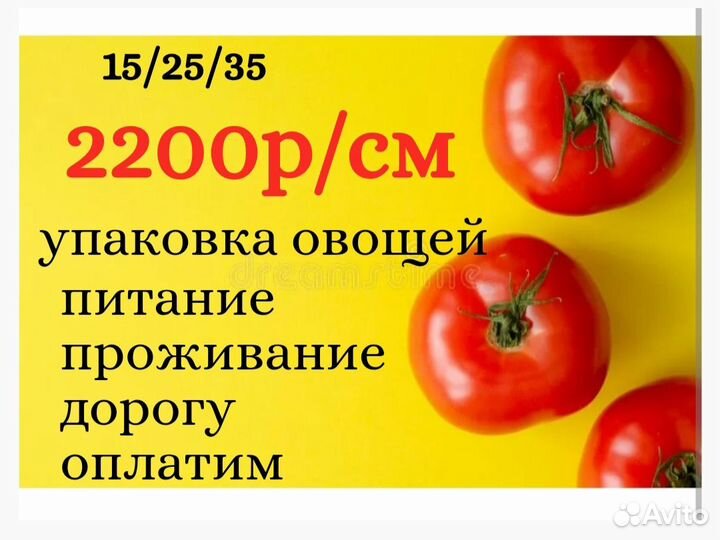 Вахта Елабуга 15/20/35 упаковщик зелени еда жилье