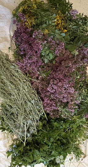 Лекарственные травы для сборов и чаёв